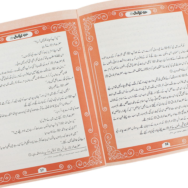 Ashra Mubashra Series 10 Books Pack