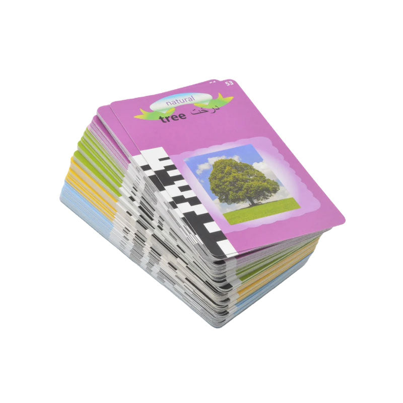 Early Education Flash Cards Device