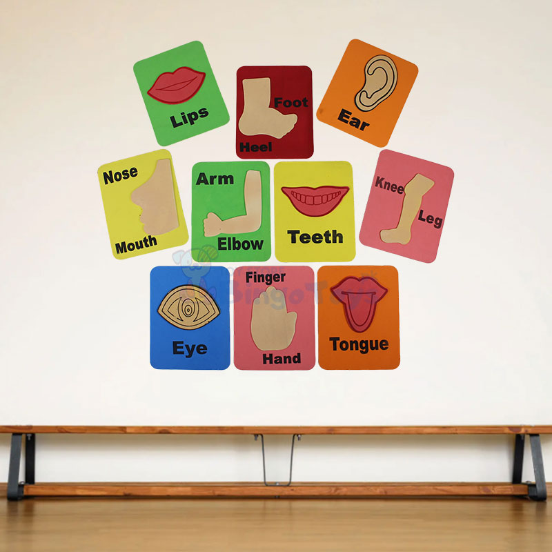 Montessori Classroom Decoration Wall Foam Sheets
