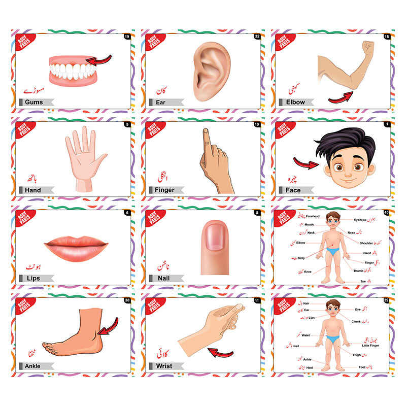 Actions Words & Body Parts Bilingual FlashCards