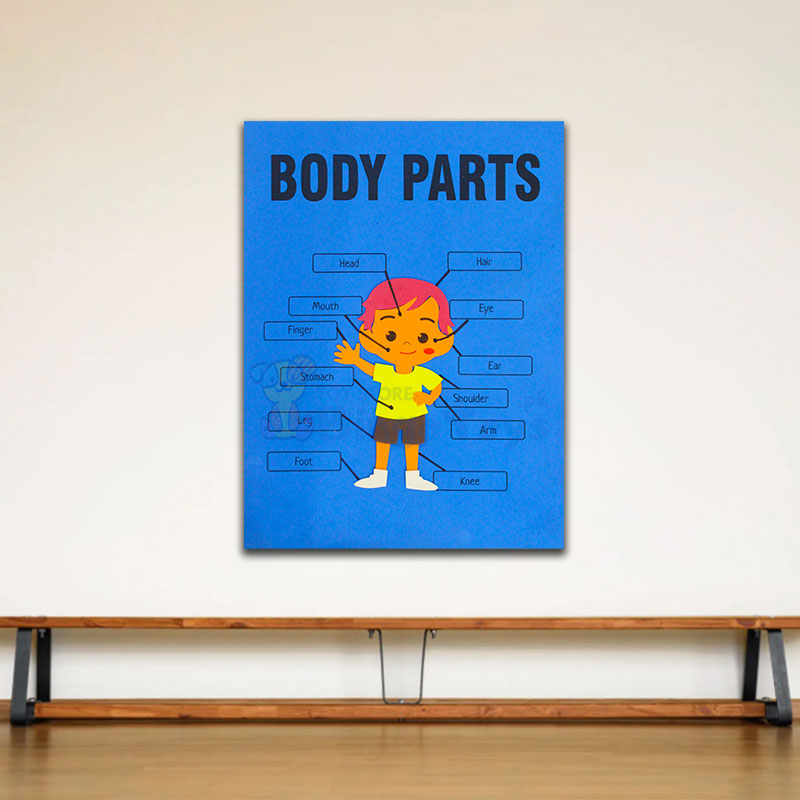 Montessori Classroom Decoration Wall Foam Sheets