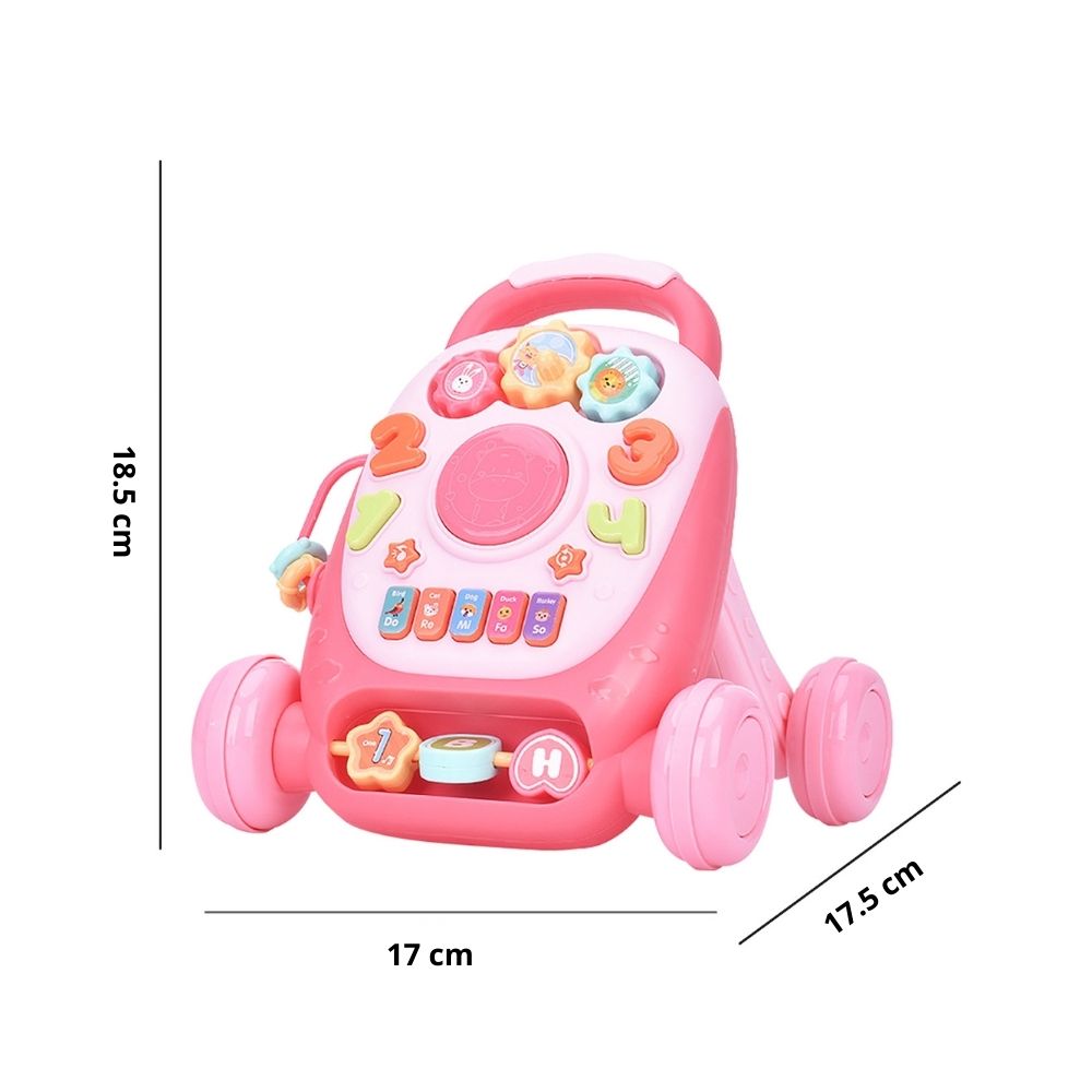 Early Education Walker Toy With Music & Lighting (3)