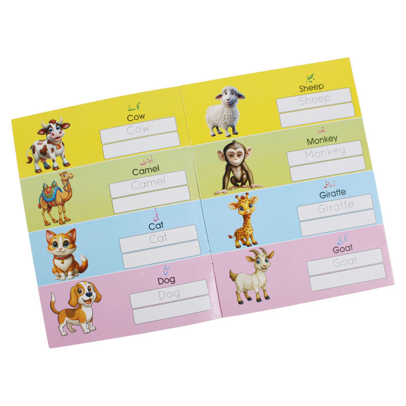 Wipe-Clean 10 Activity Book Pack