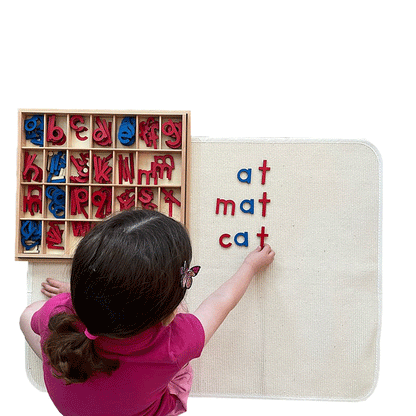 Montessori Movable Alphabet