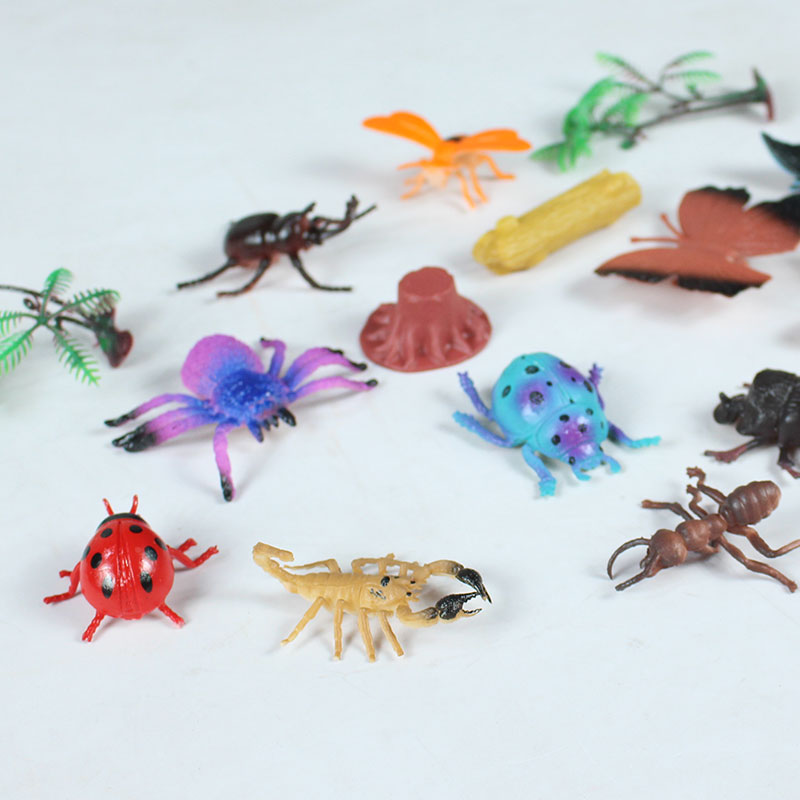 Insect The World For Kids