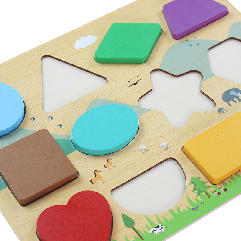 3D Wooden Shapes Learning Puzzle Board #2083