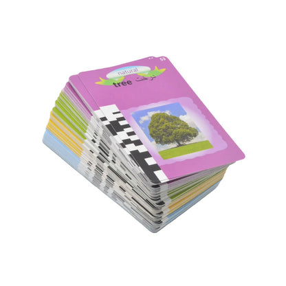 Early Education Flash Cards Device