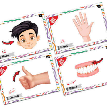 Actions Words & Body Parts Bilingual FlashCards