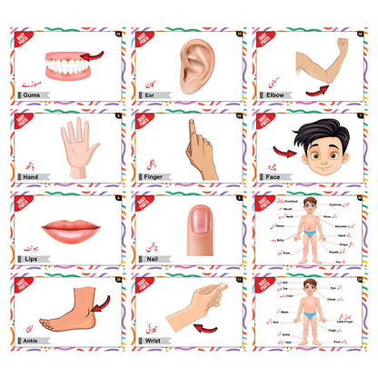 Actions Words & Body Parts Bilingual FlashCards