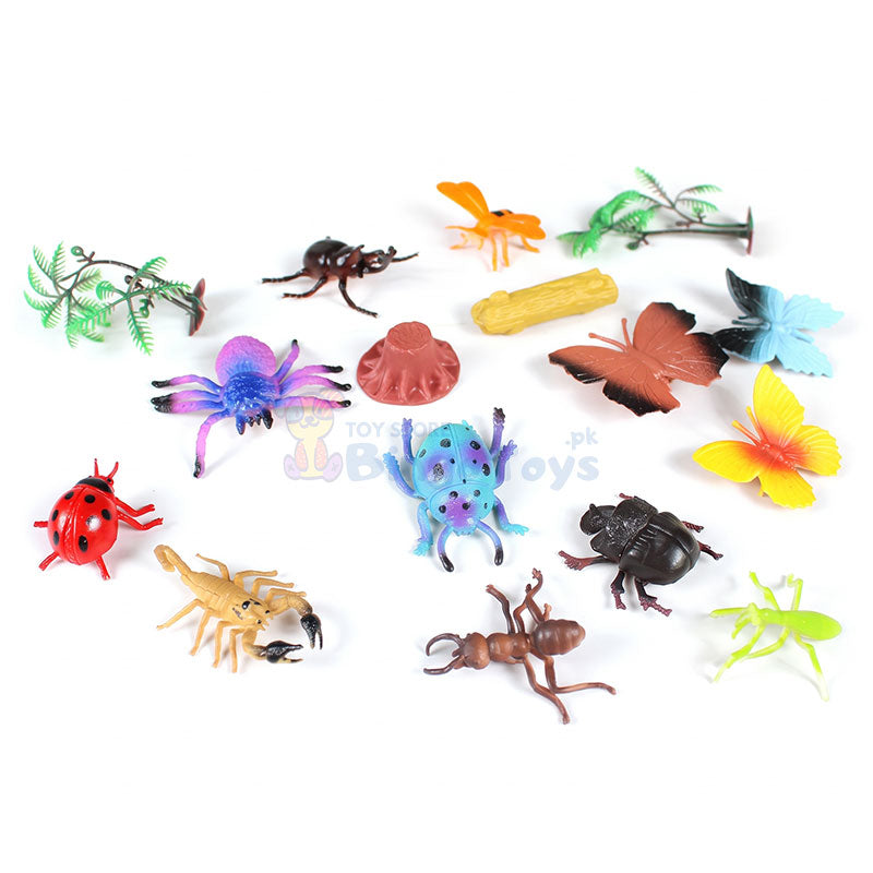 Insect The World For Kids
