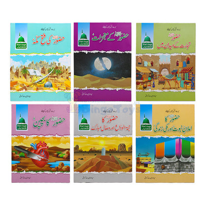 Seerat-un-Nabi (PBUH) Set of 20 Books