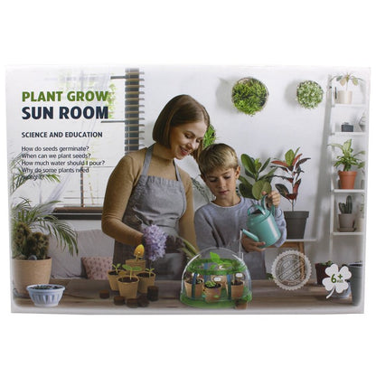 Plant Grow Sun Room