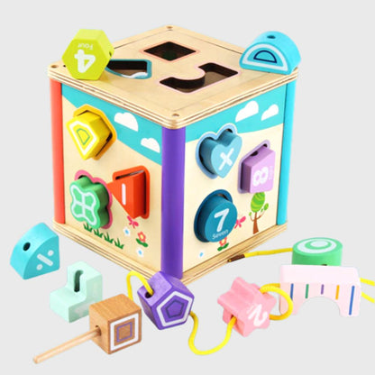 Wooden Shape Matching Puzzle Box- Cube